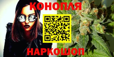 индика Чебаркуль