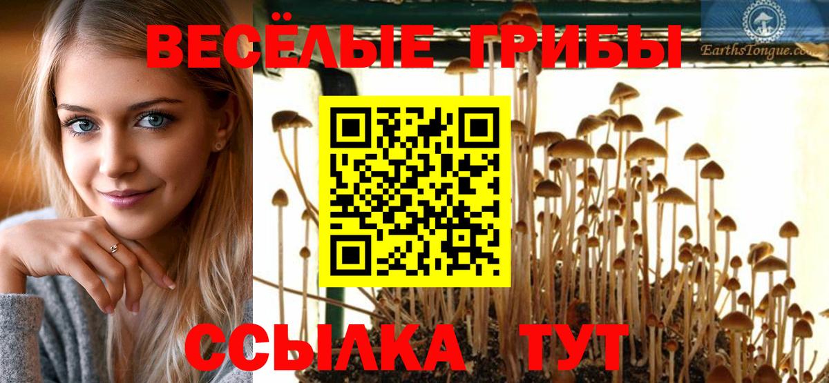 Галлюциногенные грибы Cubensis  Вход с VPN  Красноперекопск 
